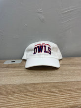Load image into Gallery viewer, Florida Atlantic Owls Hat
