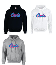 Load image into Gallery viewer, Owls Adult Hoodie Sweatshirt Florida Atlantic (Logo Owls)