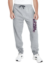 Load image into Gallery viewer, Sweatpants Jerzees Logo 5N Florida Atlantic