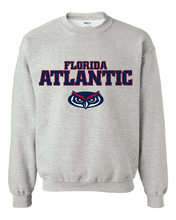 Load image into Gallery viewer, Youth Crew Neck Sweatshirt with printed FAU (Logo 3)
