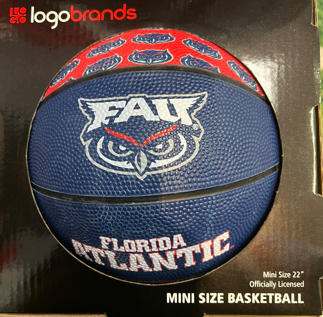 Mini Basketball FAU 7